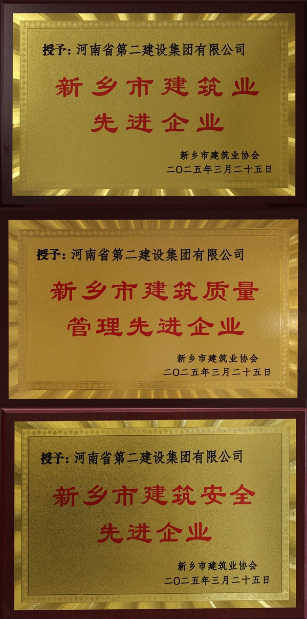 MILAN米兰体育·（中国）官方网站奖牌拼图.jpg